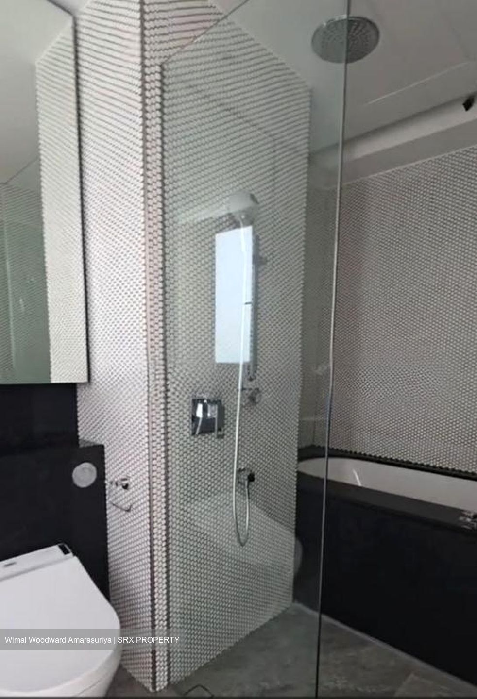 10 Evelyn (D11), Apartment #530071481